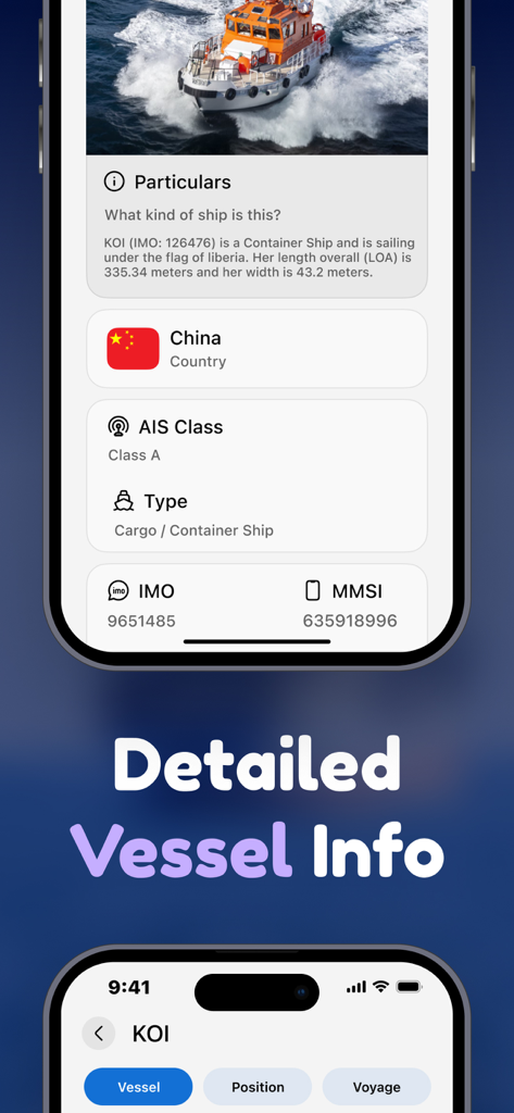Detailansicht der Schiffsdaten, die Schiffstyp, Identifikationsnummern und Details in der Schiffsverfolgungs-App anzeigt