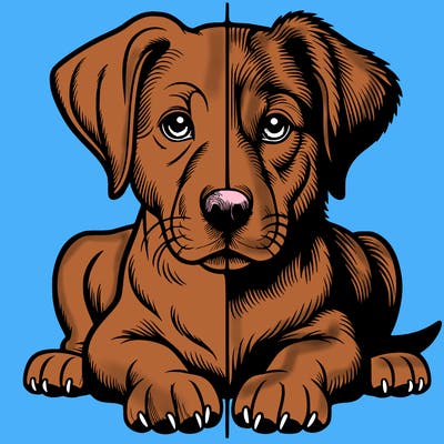 realistic dog split picture
