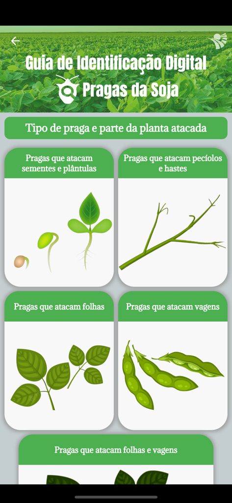GID Pragas da Soja - Menú principal de la aplicación GID Pragas da Soja mostrando categorías de plagas que atacan semillas, tallos, hojas y vainas de soja.