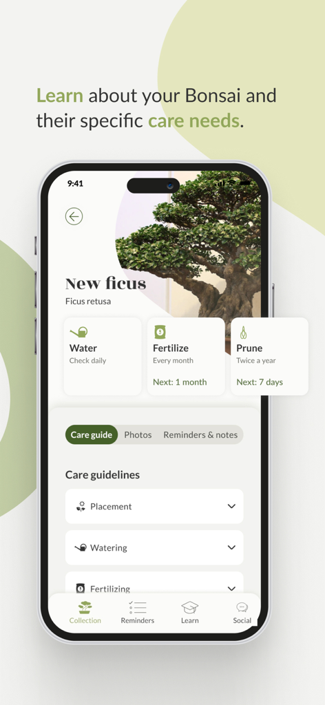 Bonsai Care App - Smartphone screen showing care instructions for a Ficus retusa bonsai tree with watering fertilizing and pruning schedules