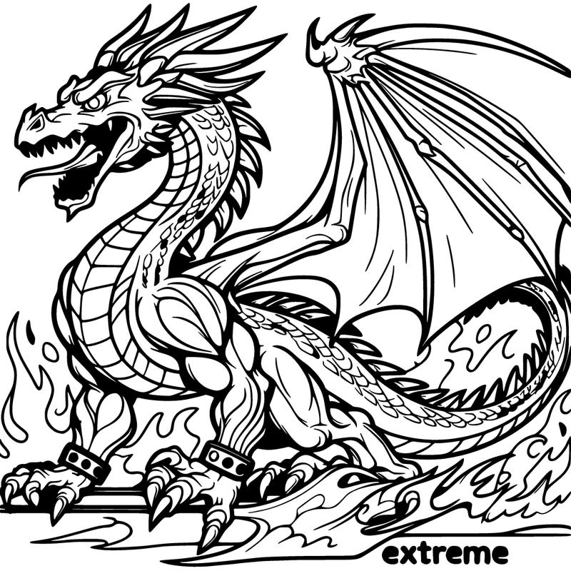 dragon extreme