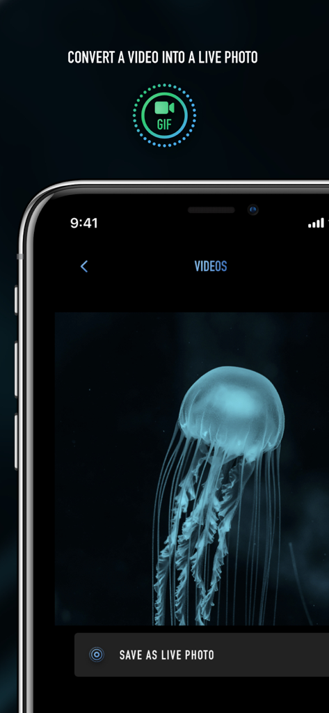 iPhone app screen showing a video of a jellyfish being converted to a Live Photo