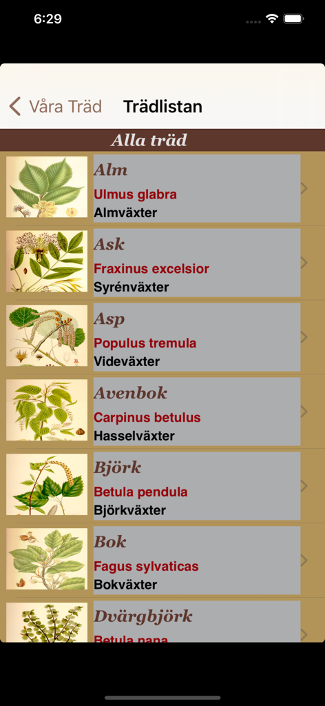 Våra Träd - Education App | MWM