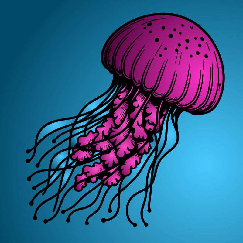 realistic jellyfish