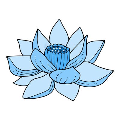 flowers_08