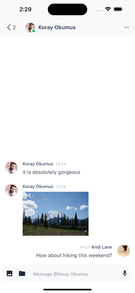 VoceChat - A direct message interface in VoceChat showing a conversation with text messages and a shared mountain landscape photo.