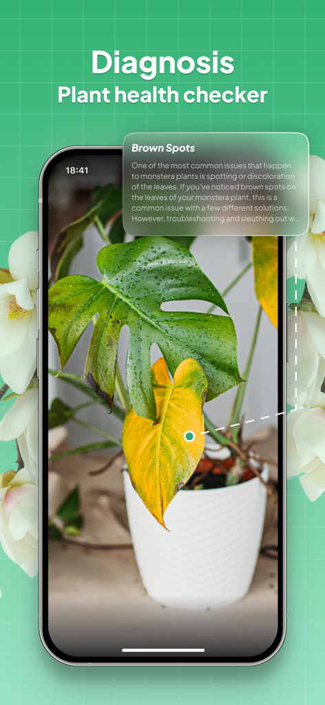 LeafSnap-Plant Identification - LeafSnap app plant health checker diagnosing brown spots on a monstera leaf