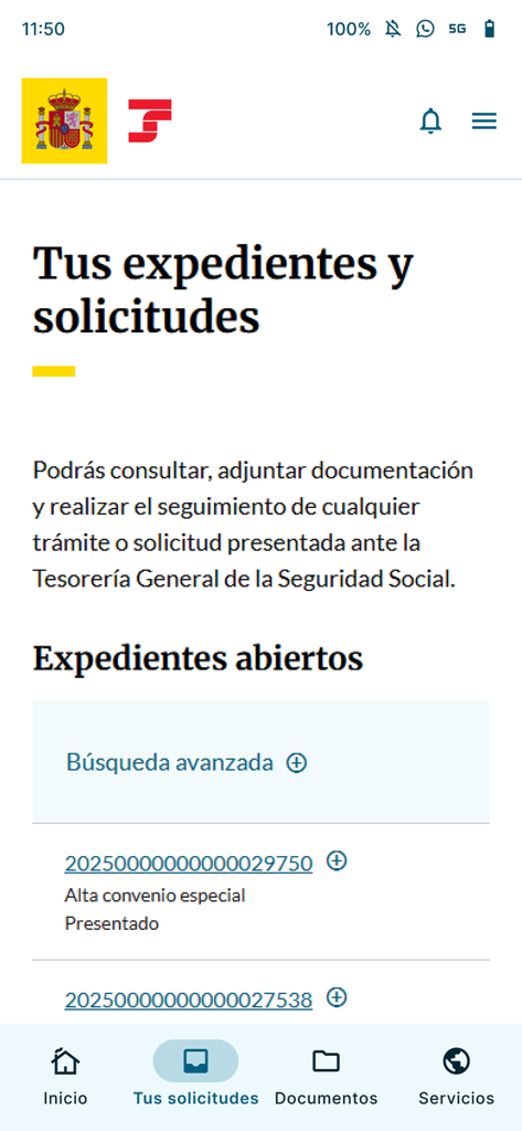 Importass mobile app screen displaying a list of open administrative files and requests