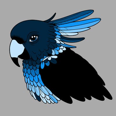 realistic parrot with colour