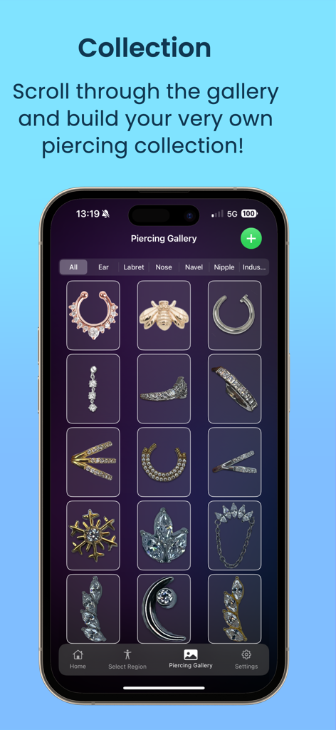 Digital gallery displaying various piercing jewelry styles including hoops studs and rings