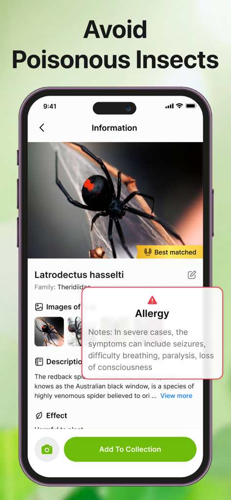 Insect identification app displaying details and safety warnings for a poisonous spider