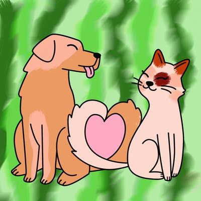 animals_22