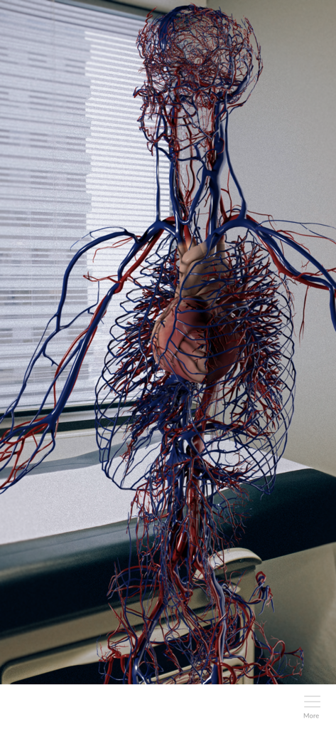 A detailed 3D holographic model of the human circulatory system including the heart and blood vessels displayed in an augmented reality medical setting