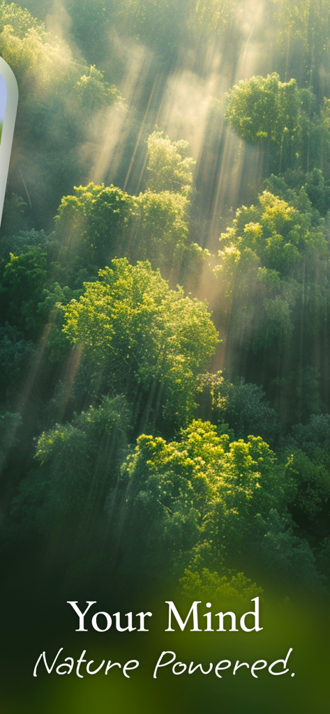 Lush green forest with sunlight beams and the text Your Mind Nature Powered