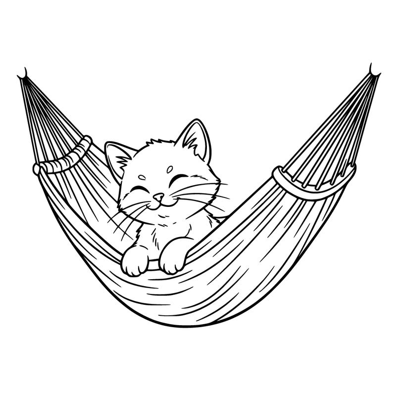 a kitten sitting in a hammock