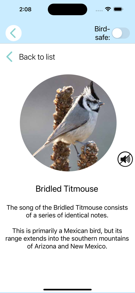 ChirpOMatic - BirdSong USA - Bird identification profile for the Bridled Titmouse in the ChirpOMatic app including species photo and song description