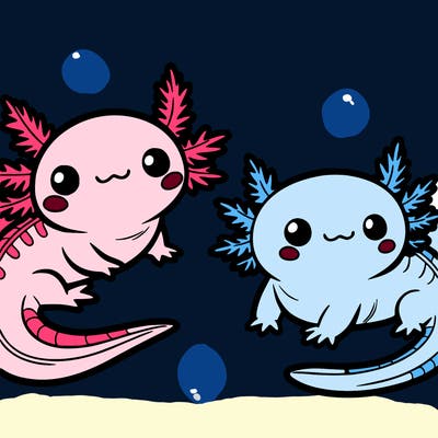 cute axolotls