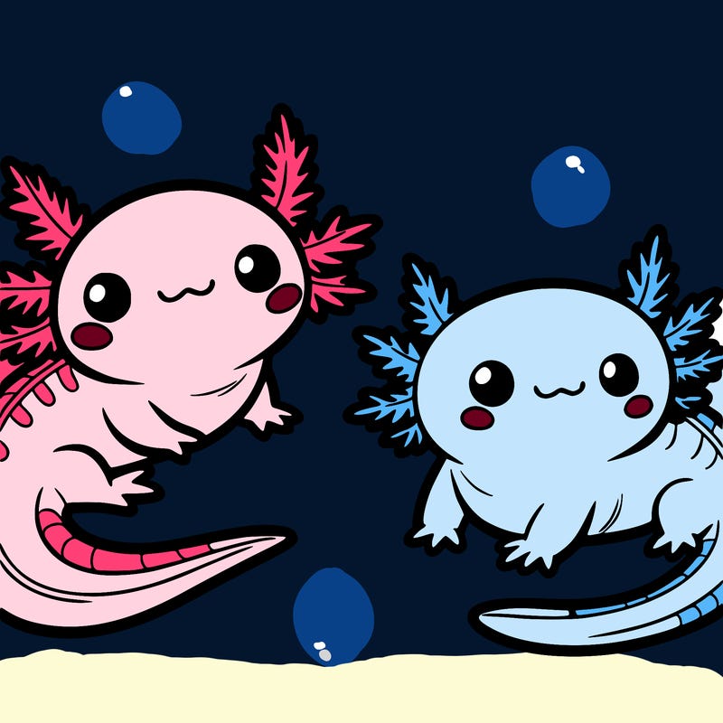 cute axolotls