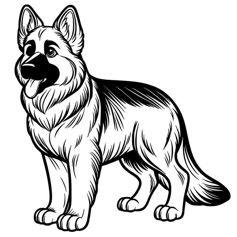 german shepard dog