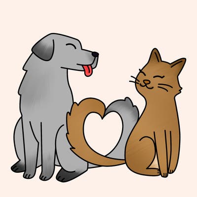 animals_22