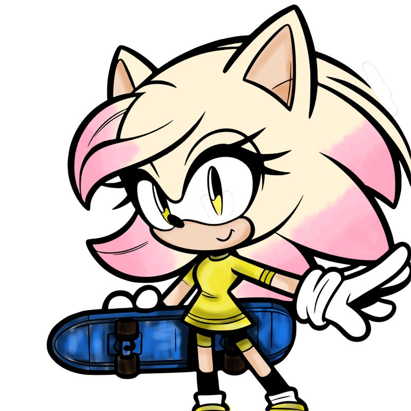 female sonic character with a skateboard