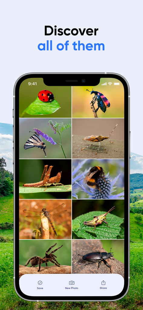 A mobile app interface displaying a grid of various identified insects including spiders, butterflies, and beetles