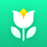 Plant Parent: Plant Care Guide