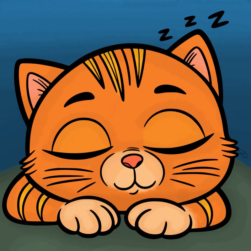 sleepy cat