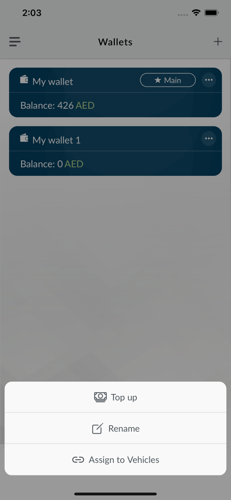 DARB - Schermata di gestione portafogli dell'app DARB con opzioni di ricarica e assegnazione veicolo