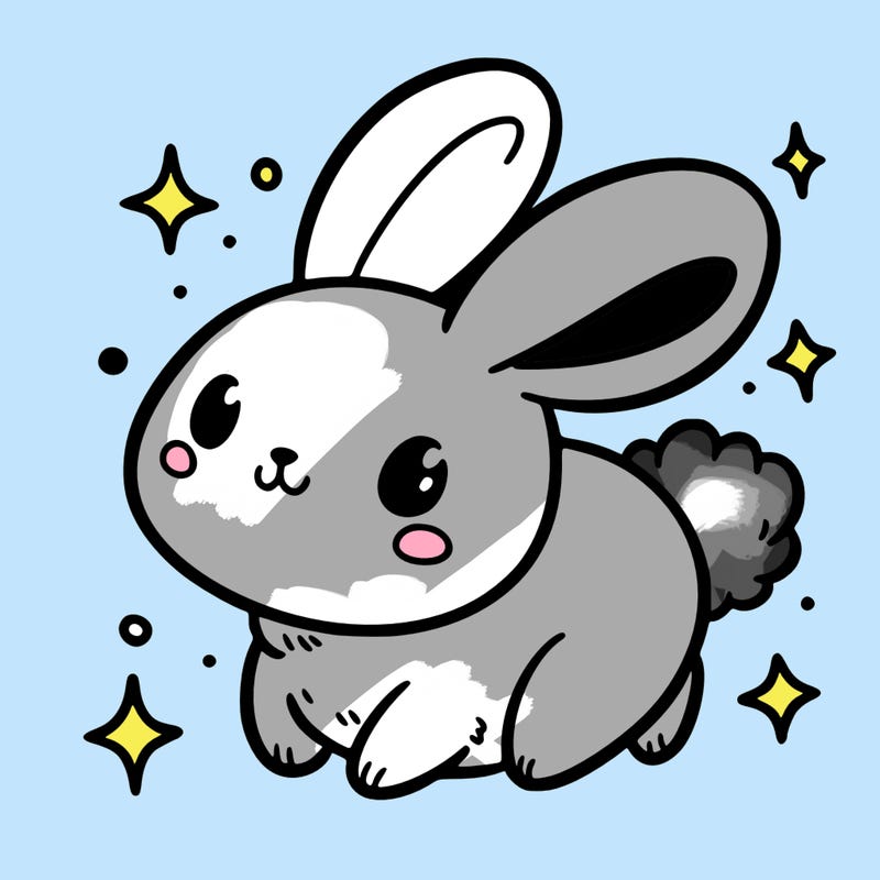 bunny