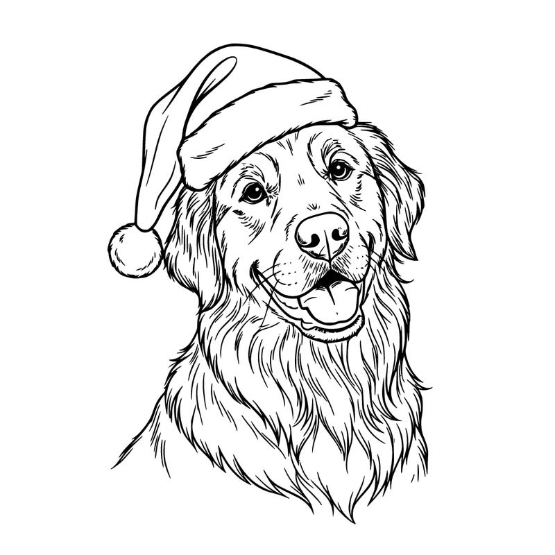 golden retriever with a santa hat on