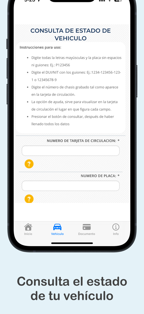 Schermata dell'app mobile per controllare lo stato del veicolo e i dettagli della registrazione in spagnolo
