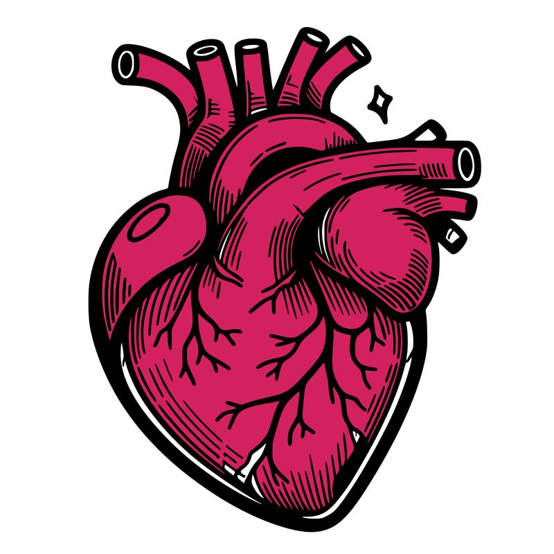 realisticl heart
