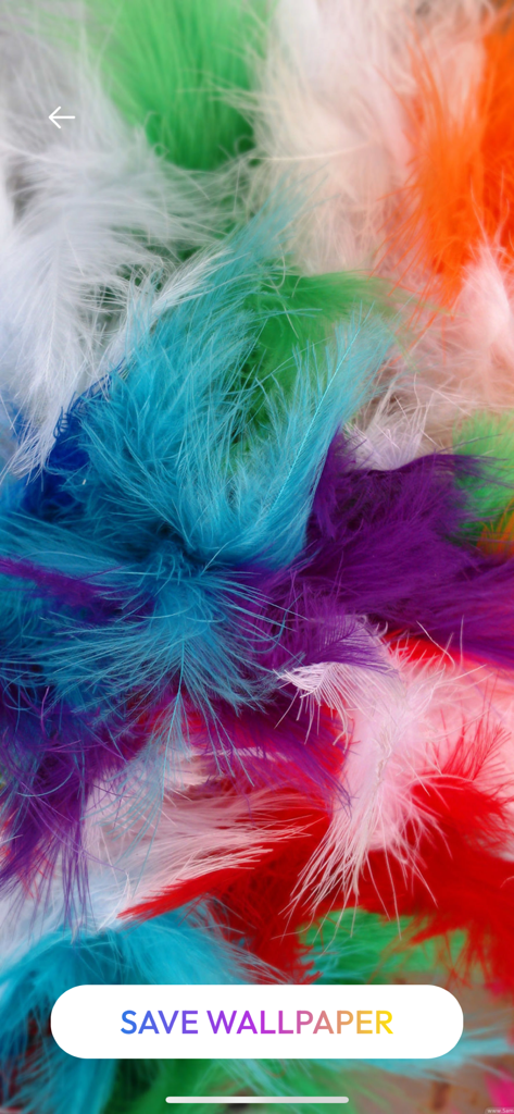 Live Wallpaper Maker - Themes - A close up view of vibrant multi colored feathers as a mobile wallpaper background