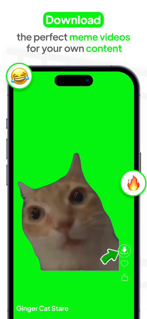 Green Screen Things - A smartphone displaying a staring cat meme on a green background within the Green Screen Things app interface.