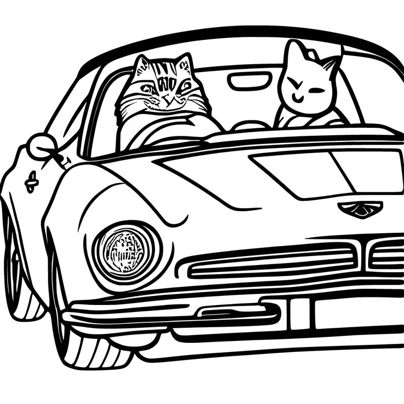 cat driving on a car