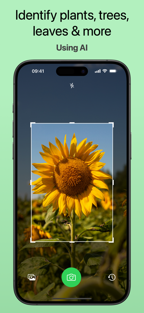 Plant Identifier - AI Scanner - Pantalla de smartphone que muestra la interfaz del escáner IA del Identificador de Plantas identificando un girasol