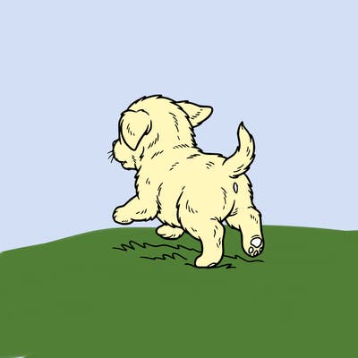 baby puppy running around