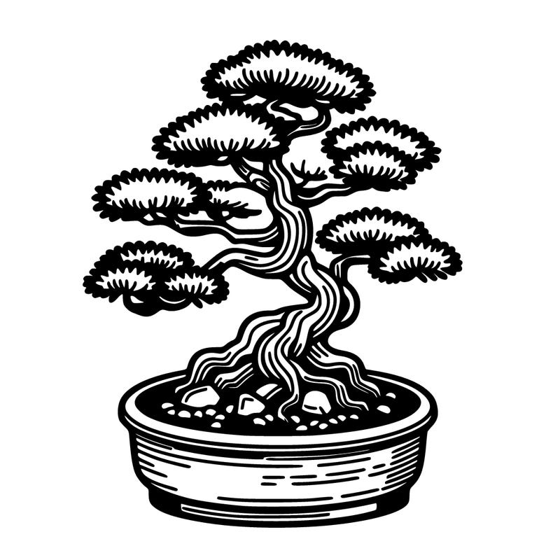 japan bonsai