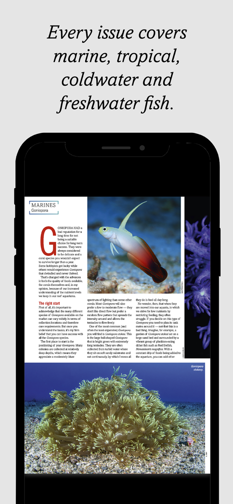 Practical Fishkeeping - A digital magazine article from the Practical Fishkeeping app featuring a Red Firefish and Goniopora corals.