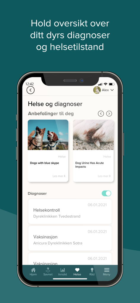 DyreID - Um smartphone exibindo a seção de saúde e diagnóstico do aplicativo DyreID com registros de visitas veterinárias e conselhos de cuidados com pets