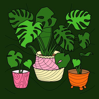 flowers_25