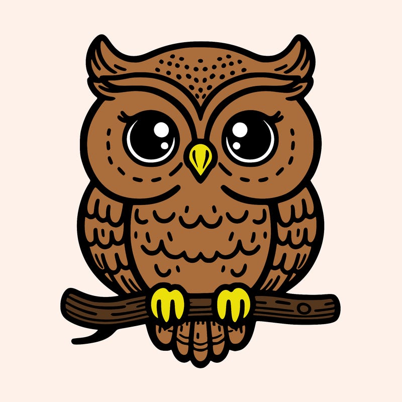 owl