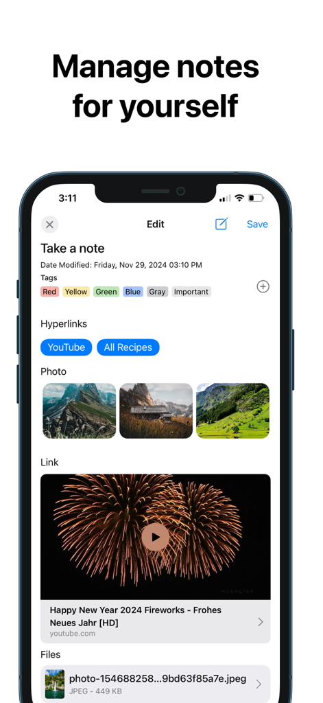 RedApp Browser - RedApp Browser interface for managing notes with tags photos and hyperlinks