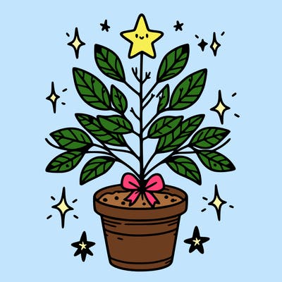 christmas plant