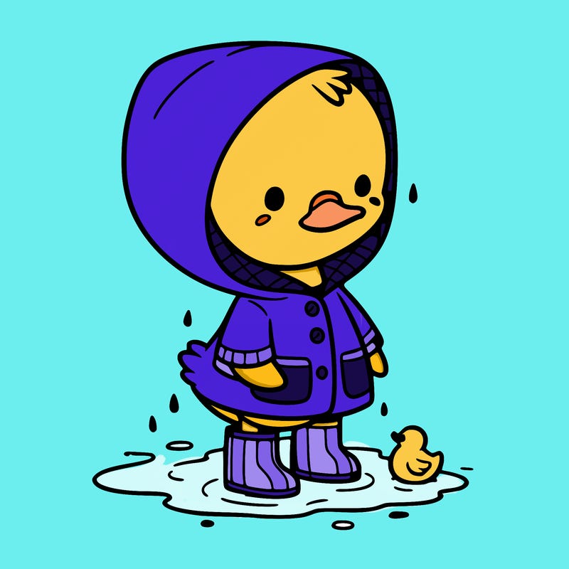 baby duck in a rain coat and boots, in a puddle while it’s raining