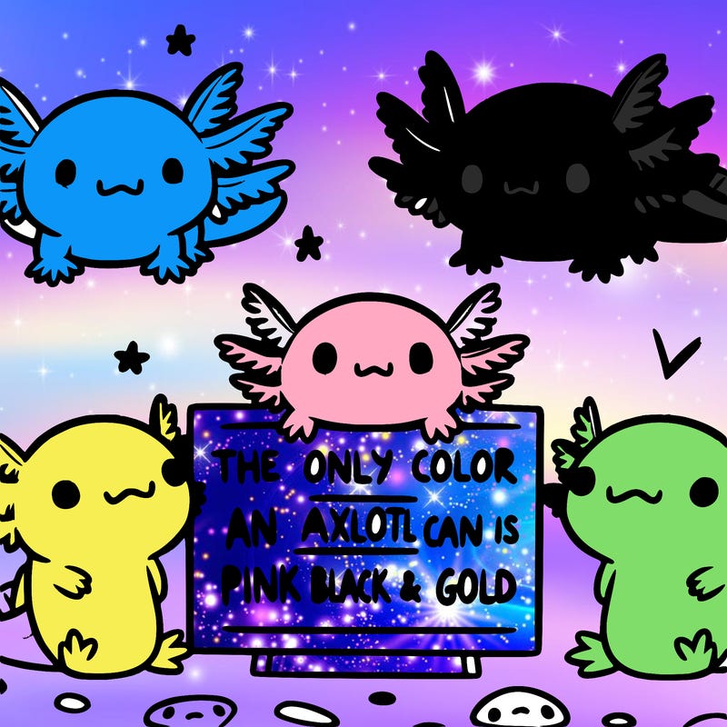 three  axolotl’s and a sign that says the only color an axolotl can be is pink black and gold  super cute animated