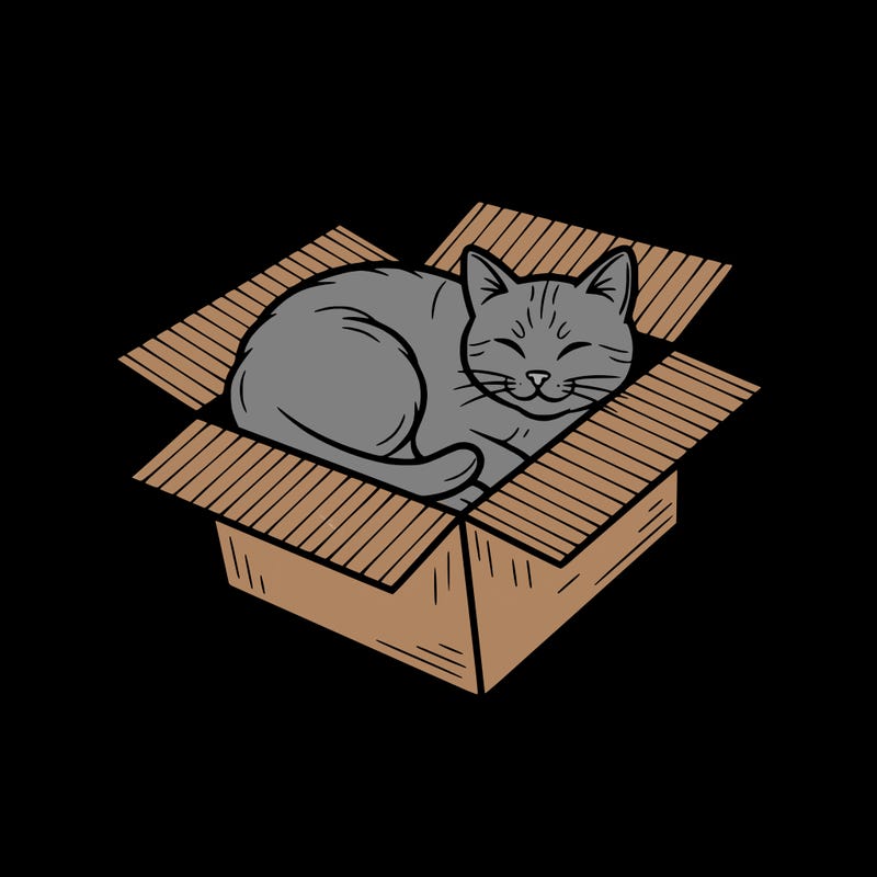 cat in box