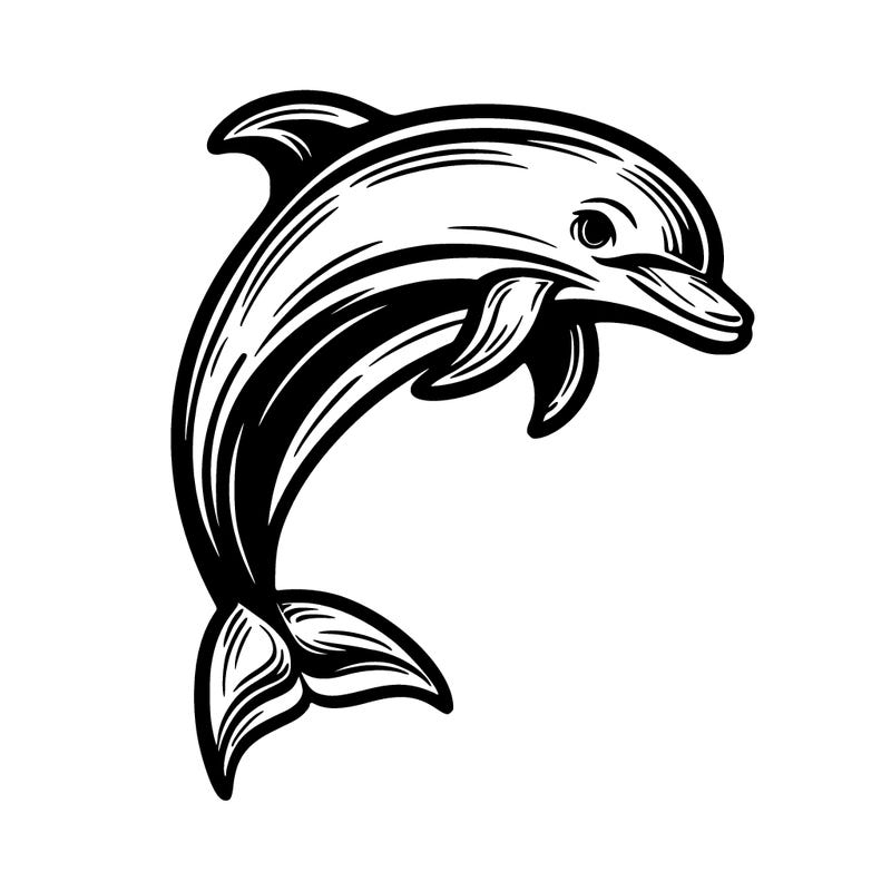 dolphin
