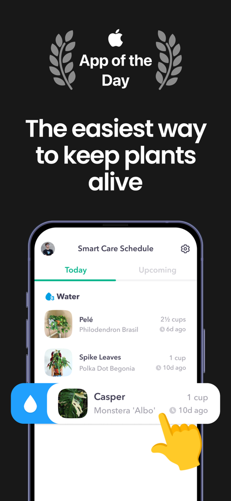 Greg: Plant Identifier & Care - Gregの植物ケアアプリのインターフェース。特定の植物のリマインダーと「App of the Day」バッジが付いたスマートな水やりスケジュールを表示。